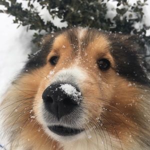 Meet your Posher, Cali